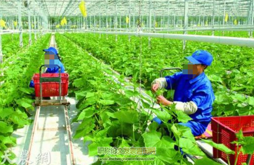 農業技術推廣在農業種植業發展中的重要性分析
