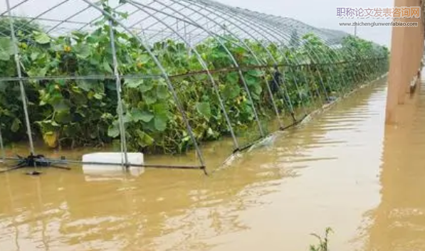 強降雨天氣對農業生產的影響及應對措施淺析