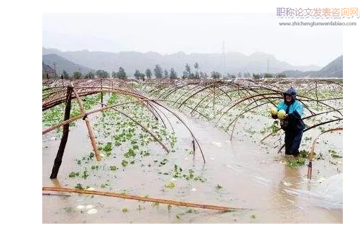 氣象災(zāi)害對農(nóng)業(yè)生產(chǎn)造成的影響及防御對策