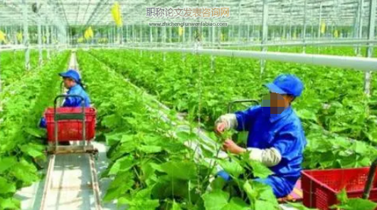 農業技術推廣在農業種植業發展中的價值研究