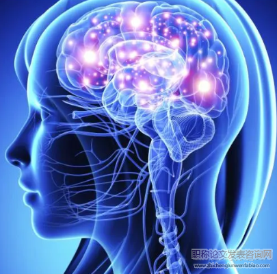 神經(jīng)科學(xué)知識(shí)在教育中的迷思與解蔽