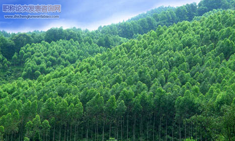 新形勢(shì)下林業(yè)生態(tài)工程建設(shè)策略