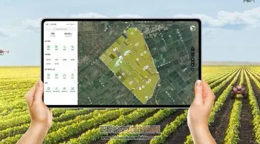 計算機圖像處理技術及其在農業工程中的應用