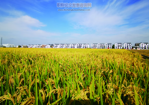衡南縣現(xiàn)代農(nóng)業(yè)發(fā)展現(xiàn)狀分析和對(duì)策思考