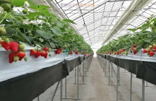 我國農業技術推廣現狀及趨勢分析