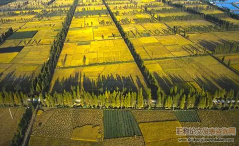 環境友好型農業技術創新與農業經濟增長關系分析