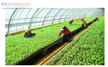 淺析農業經濟中農業技術推廣的作用及有效發揮