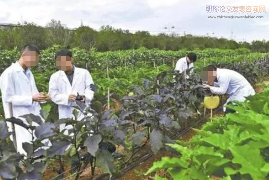 農業技術在脫貧攻堅中的思考